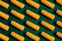 Como é produzido o etanol de milho