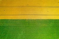 Empresa pede licença para instalar planta de biometano e biofertilizantes