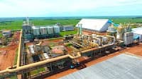 Confira 6 destaques do balanço da Usina Da Mata