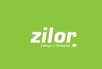 Zilor define destinação de lucro líquido de R$ 515,9 milhões; confira aqui