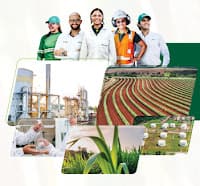 Moagem, lucro líquido, produtividade: como foi o primeiro trimestre da safra da Zilor; saiba aqui