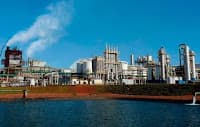 Expectativas da Adecoagro para a safra de cana em andamento
