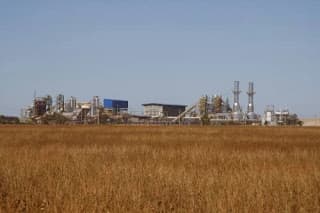 Como a BP Bunge investirá em cana e etanol em Tocantins