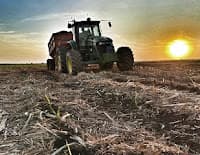 Mato Grosso do Sul: usina de cana tem lucro líquido de R$ 177 milhões