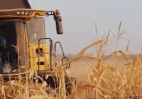 Indústria de etanol de milho pede licença para ampliar produção