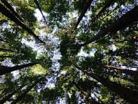 Saiba detalhes do recém-lançado planejamento estratégico do Ministério do Meio Ambiente