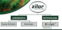 4 destaques da safra da Zilor