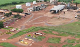 Usina CBB de Goiás: criação de bovinos