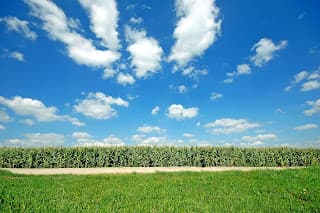 Sucroenergética Lucélia avalia constituição de subsidiária