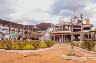 Única usina de cana do Piauí tem capacidade para produzir 620 mil litros de etanol por dia