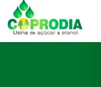 Coprodia terá capacidade de produzir 2,2 milhões de litros de etanol por dia