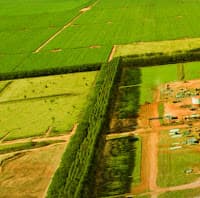 Fazenda da Usina Nardini será transformada em reserva particular