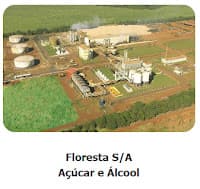Usina Floresta: lucro líquido vai a R$ 125 milhões