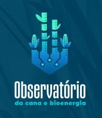 Área com cana-de-açúcar cai ano a ano no Brasil